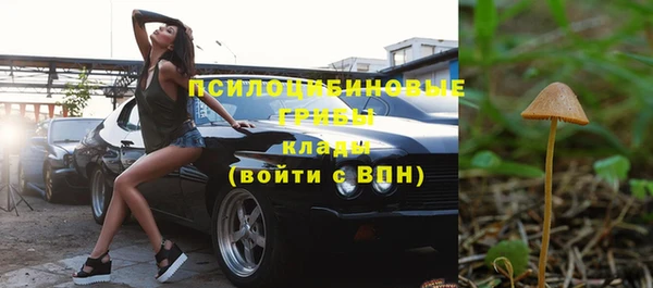 стаф Бородино