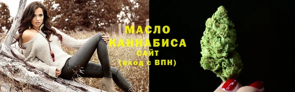 стаф Бородино