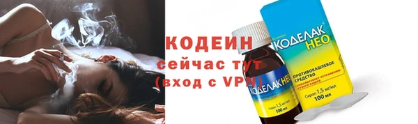 стаф Бородино
