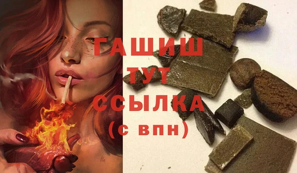 стаф Бородино