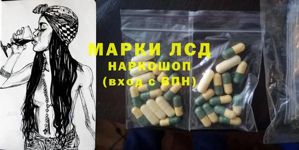 стаф Бородино
