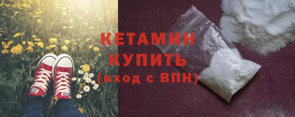 стаф Бородино