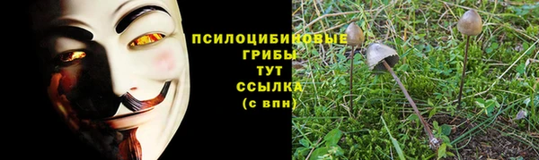 стаф Бородино