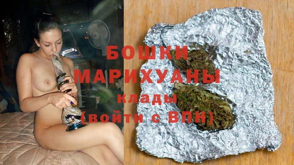стаф Бородино
